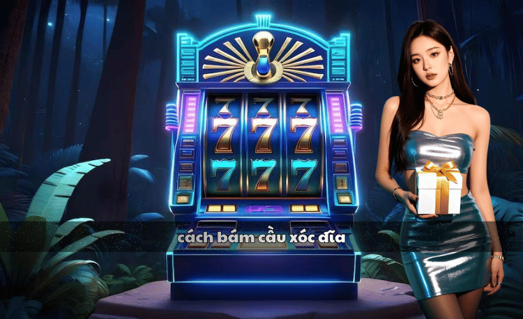 Cách bám cầu xóc đĩa: 5 bí quyết thắng lớn cho người mới 1 Cách bám cầu xóc đĩa